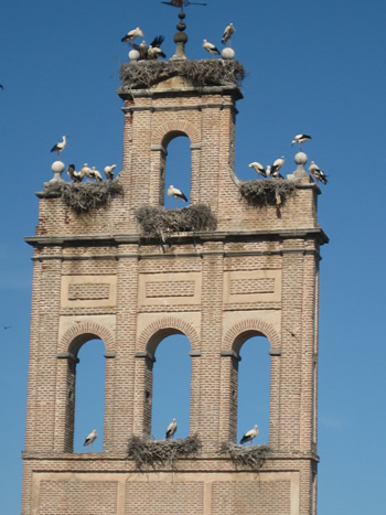 © Storchenpflegestation Wesermarsch