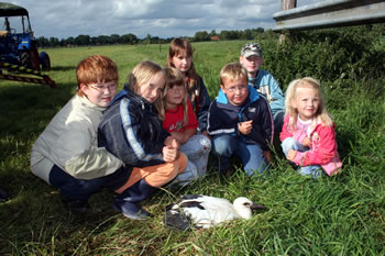 © Storchenpflegestation Wesermarsch