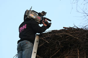 © Storchenpflegestation Wesermarsch