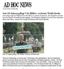 PDF zum Artikel