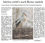 PDF zum Artikel