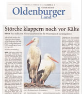 PDF zum Artikel
