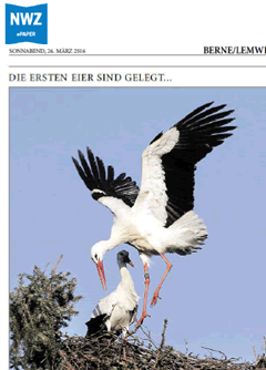 PDF zum Artikel